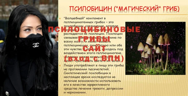 метамфетамин Аркадак